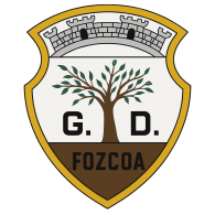 Logo of GRUPO DESPORTIVO DE VILA NOVA DE FOZ CÔA